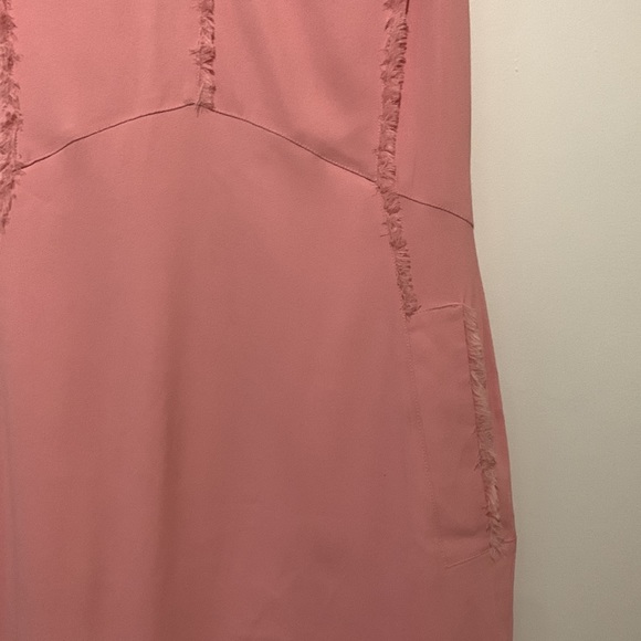ALTUZARRA “Doe” frayed-edge a-line midi dress in pink - Picture 4 of 6